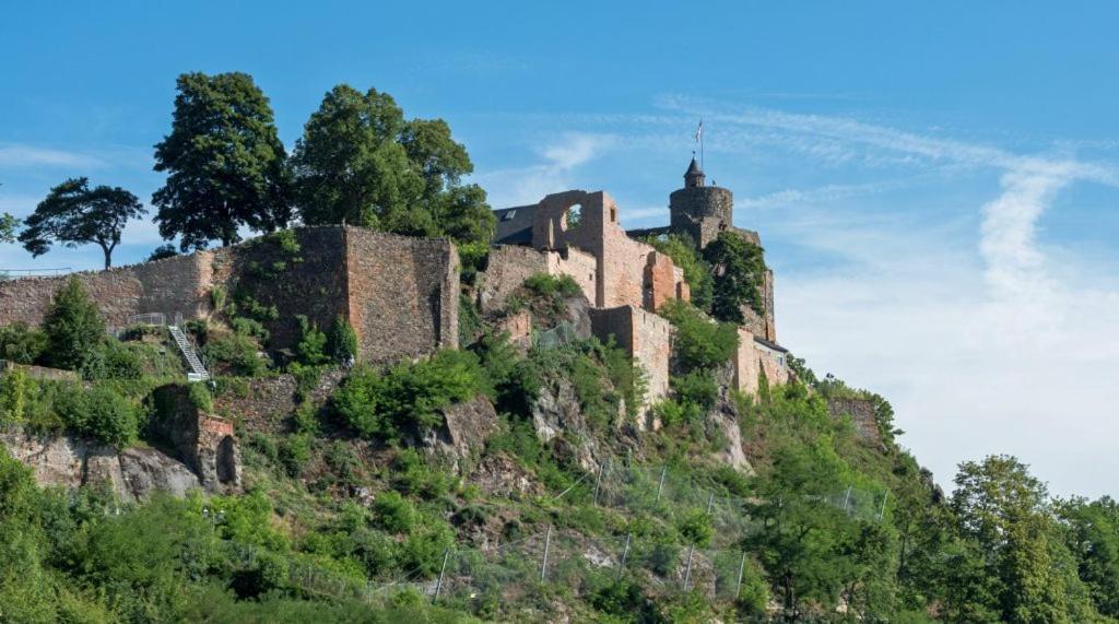 Luxurioese Ferienwohnung Mit Wellness Oase Saarburg Exterior foto